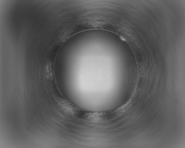 X0000076370182200610061108