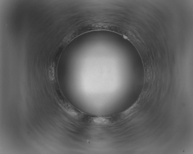 X0000076370183200610061108