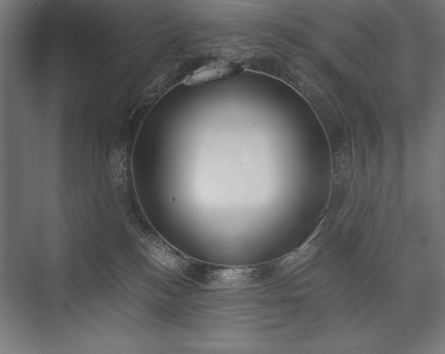 X0000076370184200610061108