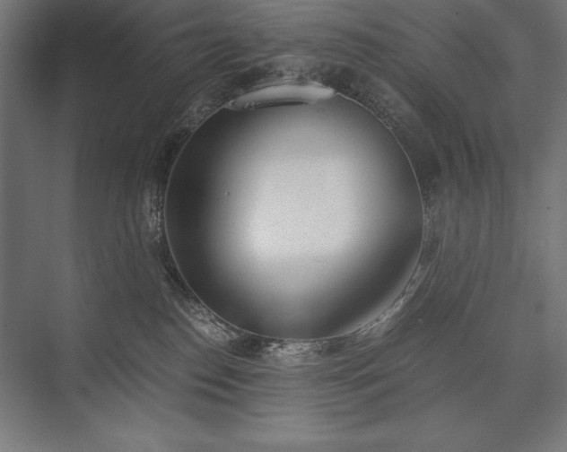 X0000076370186200610061108