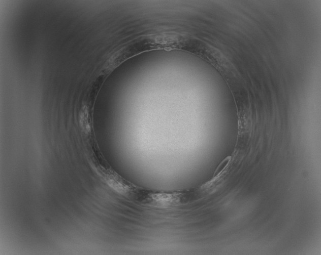 X0000076370187200610061108