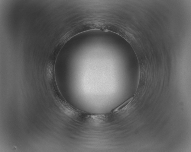 X0000076370188200610061108