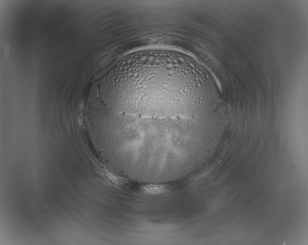 X0000076370189200610061108