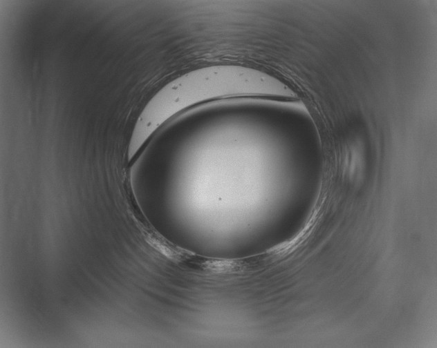 X0000076370192200610061108