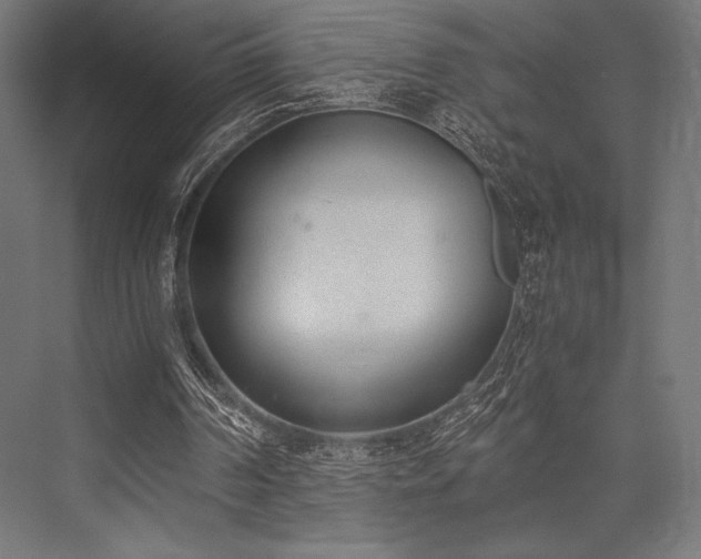 X0000076370194200610061107
