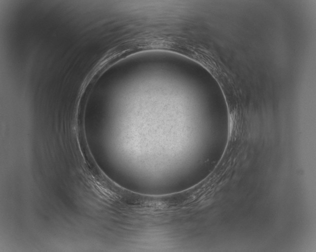 X0000076370195200610061107