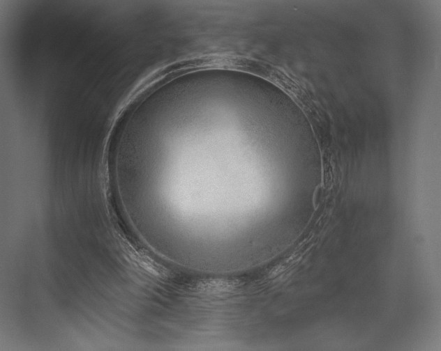 X0000076370198200610061107