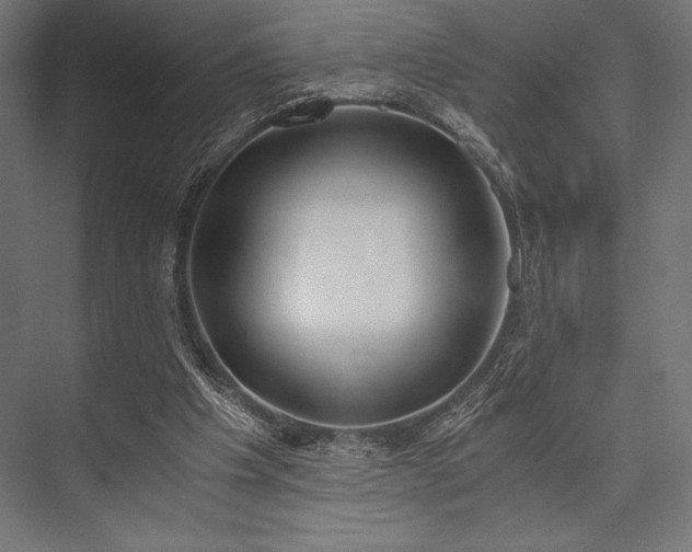 X0000076370201200610061107