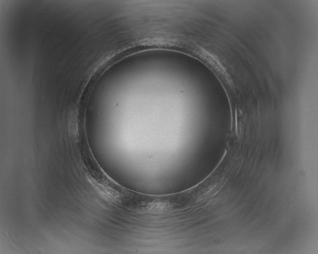 X0000076370204200610061107