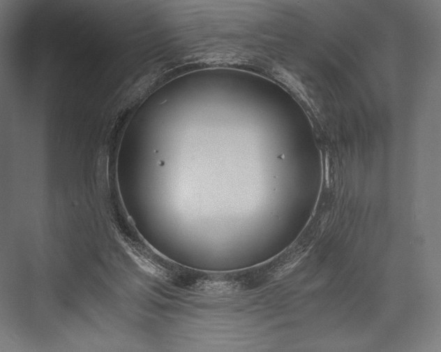 X0000076370205200610061107