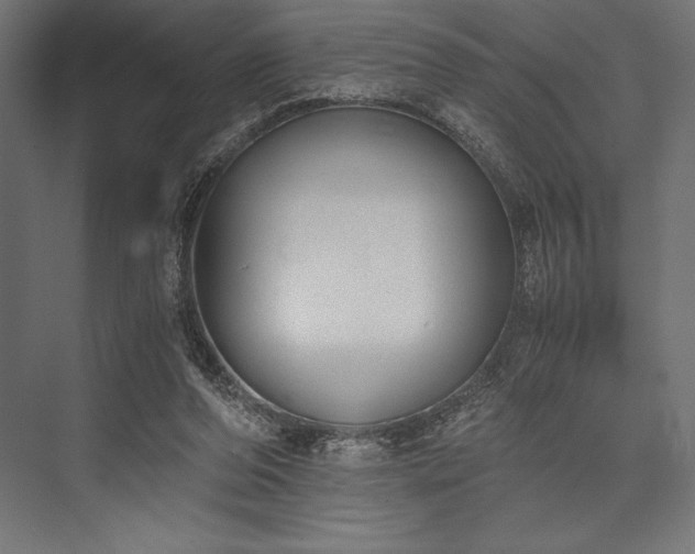 X0000076370208200610061107