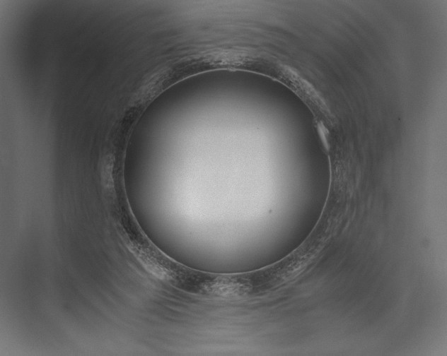 X0000076370209200610061107