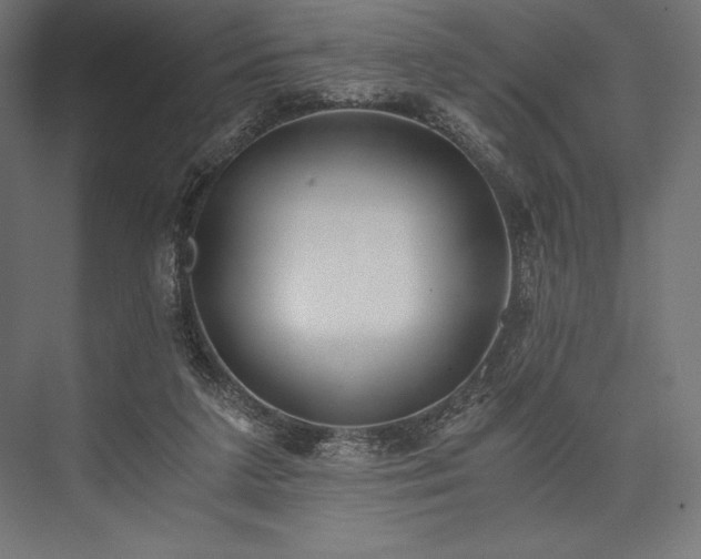 X0000076370211200610061107