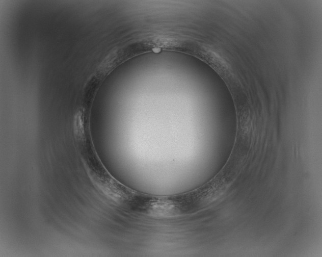 X0000076370214200610061107