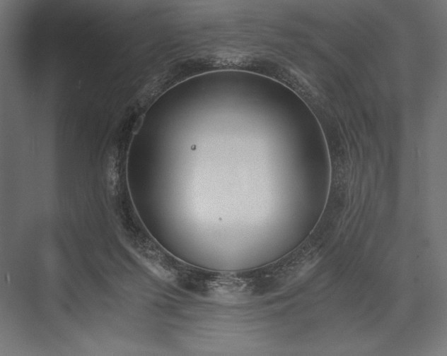 X0000076370215200610061107