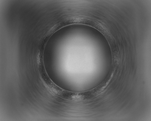 X0000076370216200610061107
