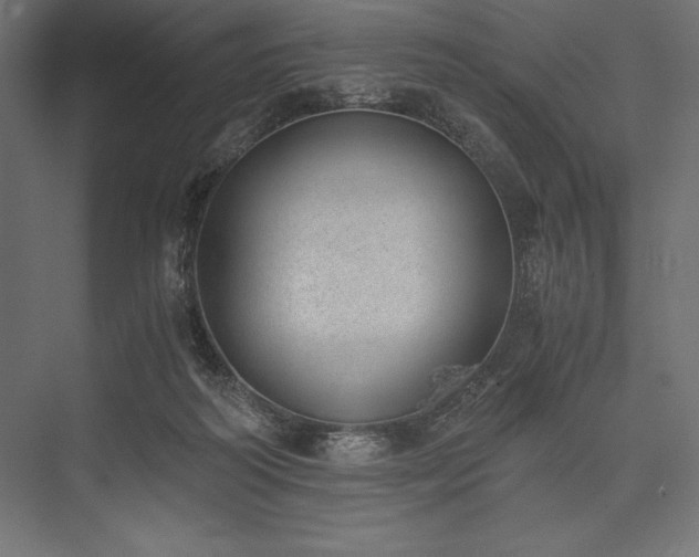 X0000076370218200610061107