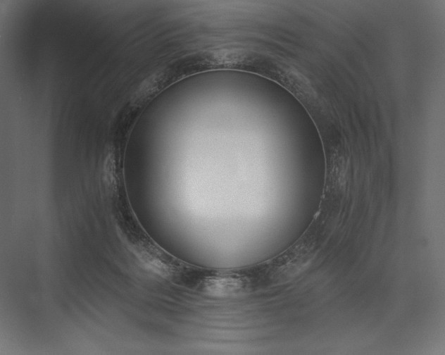 X0000076370220200610061107