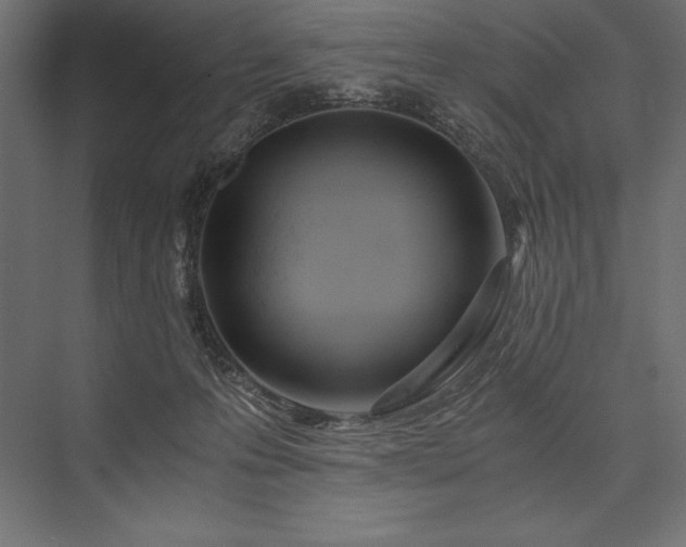 X0000076370223200610061107
