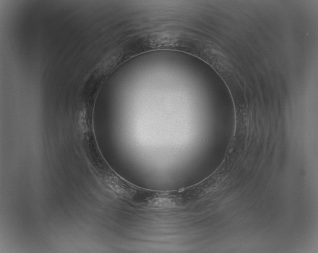 X0000076370224200610061107