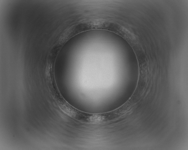 X0000076370225200610061107