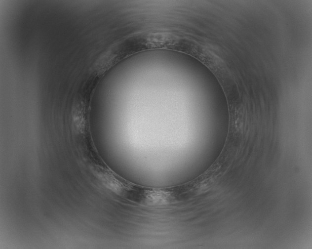 X0000076370226200610061107