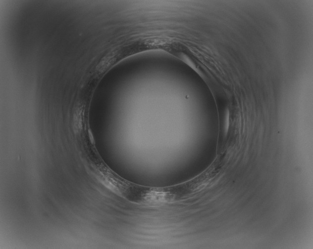 X0000076370227200610061107