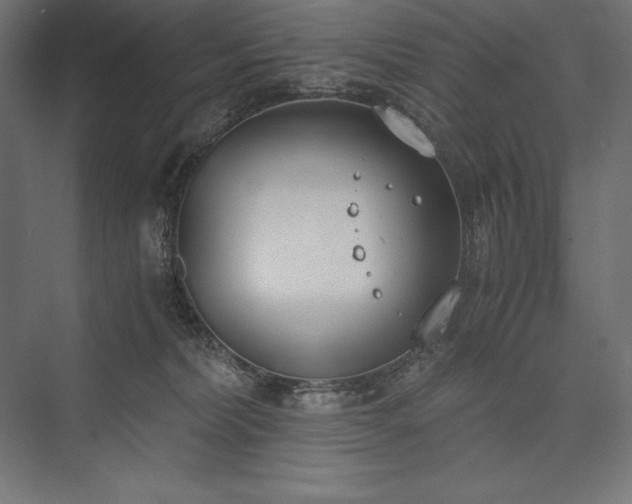 X0000076370228200610061107