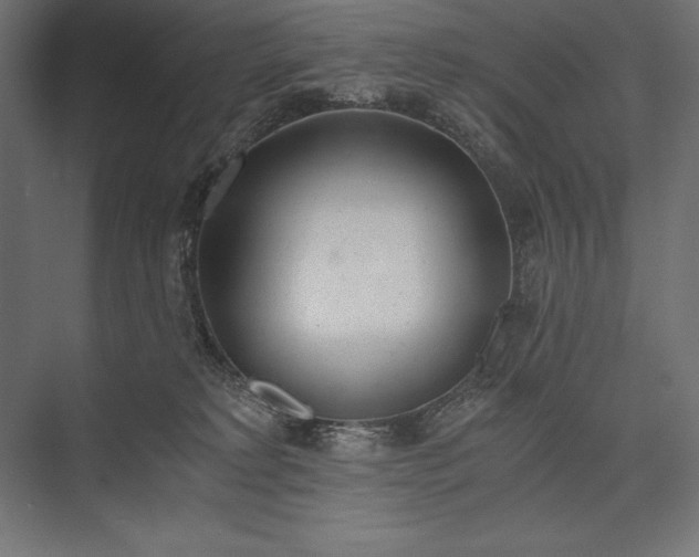 X0000076370229200610061106