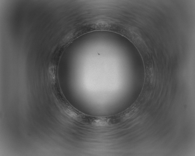X0000076370232200610061106