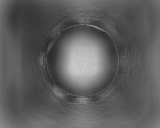 X0000076370233200610061106