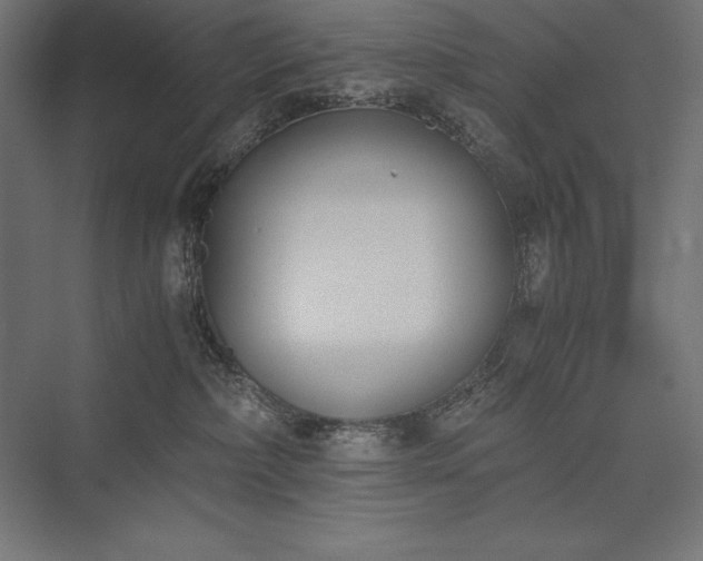 X0000076370236200610061106