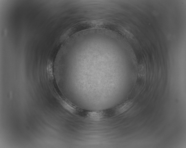 X0000076370238200610061106