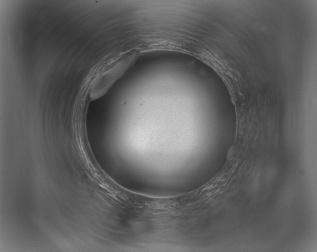 X0000076370241200610061105