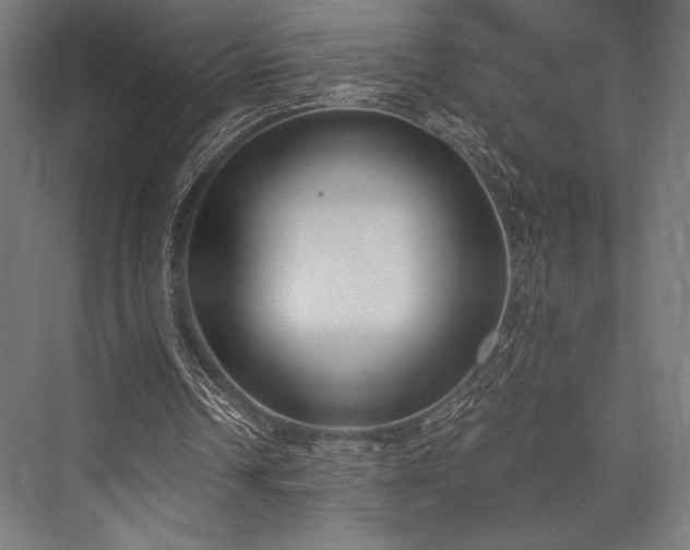 X0000076370242200610061106