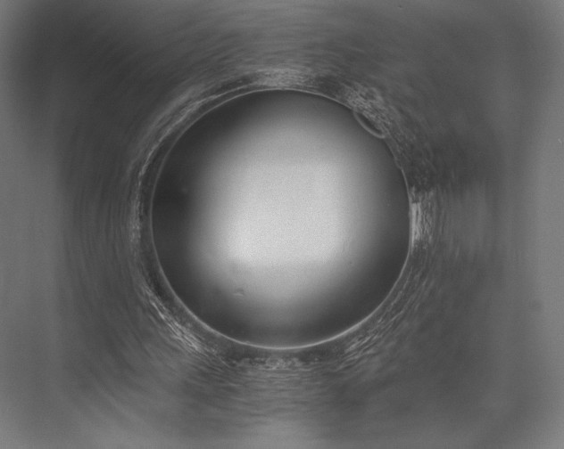 X0000076370243200610061106
