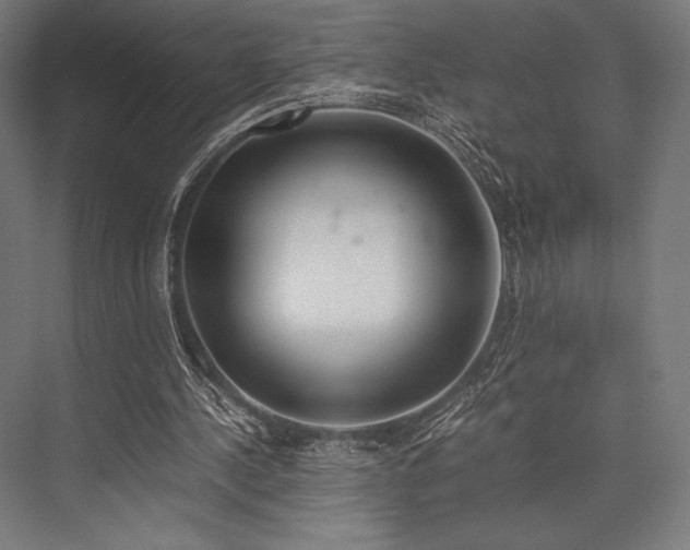 X0000076370244200610061106