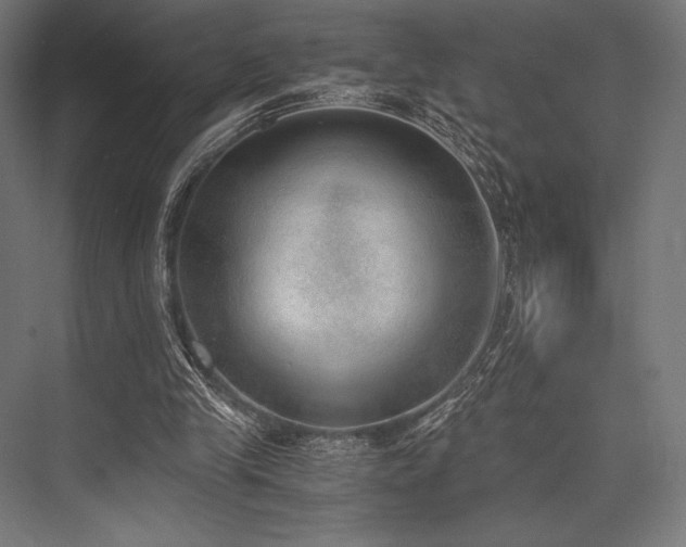 X0000076370245200610061106
