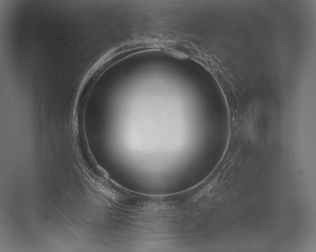 X0000076370246200610061106