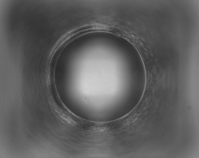 X0000076370247200610061106