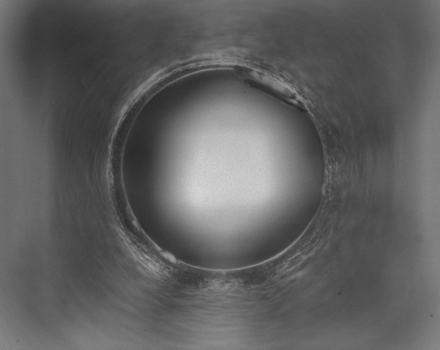X0000076370248200610061106