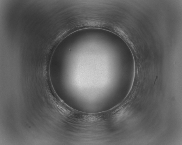 X0000076370249200610061106