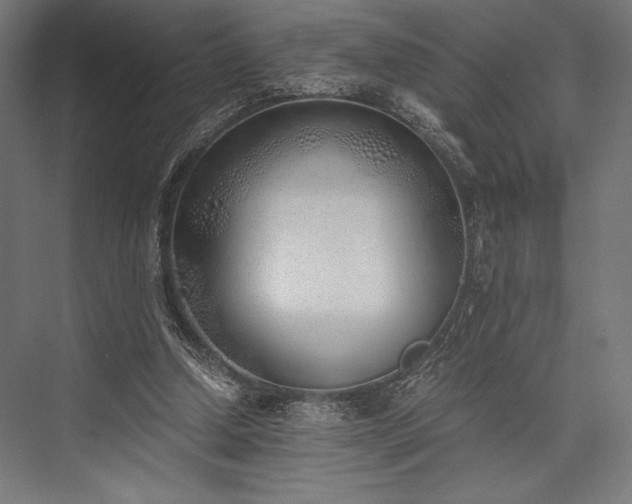 X0000076370250200610061106