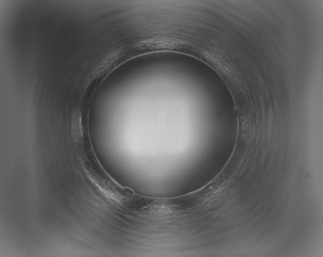 X0000076370254200610061106