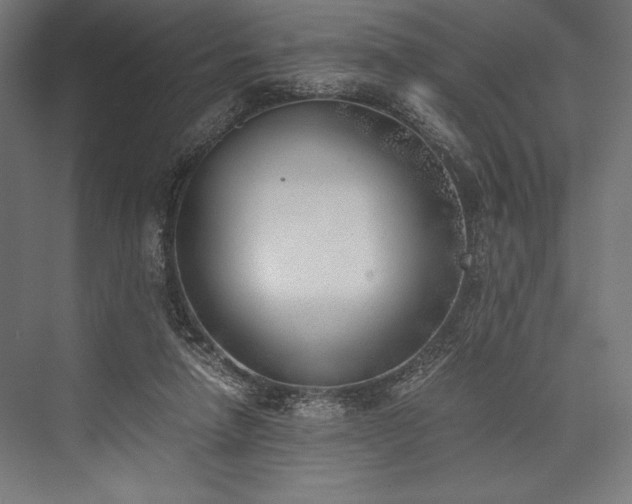 X0000076370258200610061106