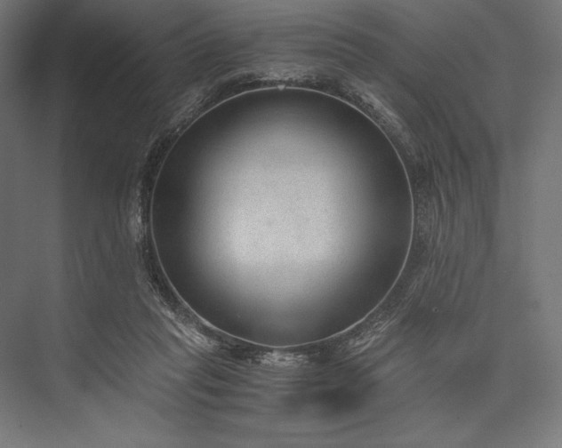 X0000076370261200610061106