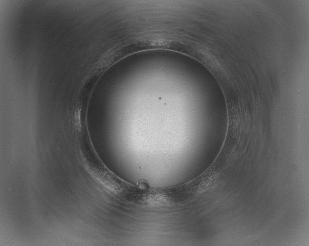 X0000076370262200610061106