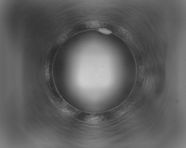 X0000076370267200610061106