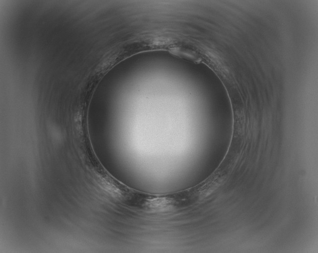 X0000076370269200610061106