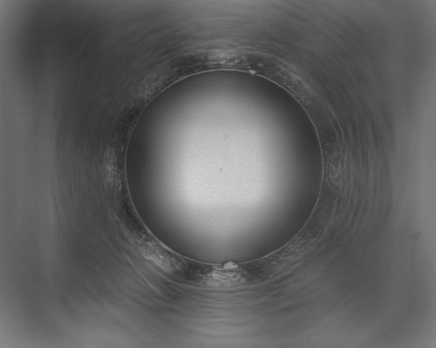 X0000076370270200610061106
